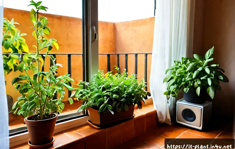 식물에게 좋은 음악과 빛의 영향 - Photorealistic sunlit Italian apartment balcony garden, thriving basil, rosemary, and leafy housepla...
